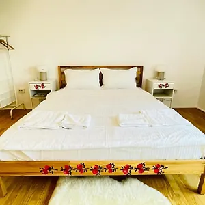 Biolocalia House Bucovina Apartamento Balotesti